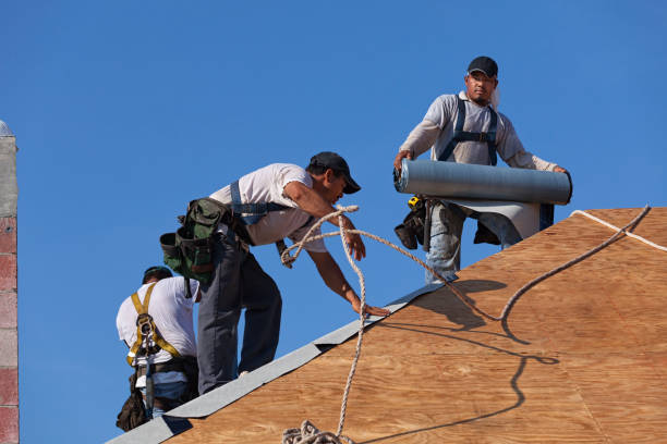 Best Roof Repair Services  in Park Hill, OK