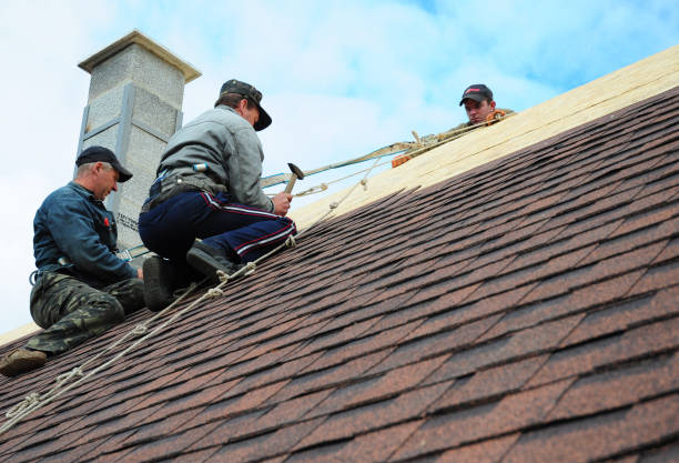 Best Residential Roofing Contractor  in Park Hill, OK